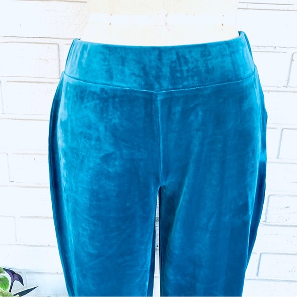 Aqua Stretch Velour Pants New Small - Picture 3 of 12